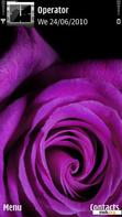 Download mobile theme Purple Rose