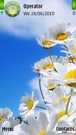 Download mobile theme Daisy flower