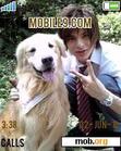 Download mobile theme Yuu Shirota