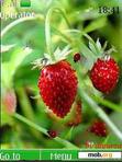 Скачать тему Wild straweberry(swf 2.0) by djgurza