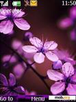 Download mobile theme Purple Flowers By ACAPELLA