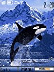 Download mobile theme Killer whale anim