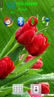 Download mobile theme Red_Roses