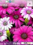 Download mobile theme Flowers