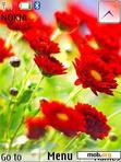 Download mobile theme Red Flowers