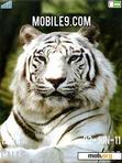 Download mobile theme Tiger