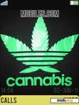 Download mobile theme marijuana