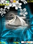 Download mobile theme Swan