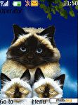 Download mobile theme FAMILY CAT