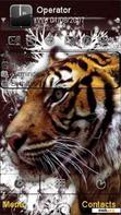 Download mobile theme Wild tiger