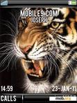 Download mobile theme Animated_Wild_Tiger