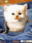 Download mobile theme Kitten Jeans