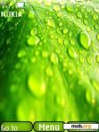 Download mobile theme Green Drops