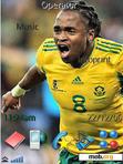 Download mobile theme south africa 2010