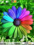 Download mobile theme Colorful Flower