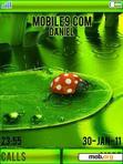 Download mobile theme green breeze rain