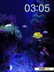 Download mobile theme Aquarium_Flash_Clock