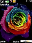 Download mobile theme colorful rose