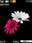 Download mobile theme FLOWERS