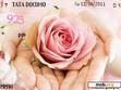 Download mobile theme Pink Rose 4xLH