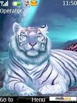 Download mobile theme Tirkuaz Tiger