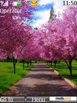 Download mobile theme Spring Path