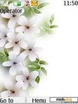 Download mobile theme White Flowers