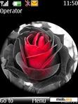 Download mobile theme RED ROSE