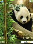 Download mobile theme Panda