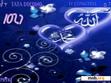 Download mobile theme Allah-D8I