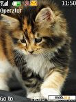 Download mobile theme Cute Kitty