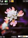 Download mobile theme Little Pink Flowers