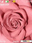 Download mobile theme Pink Rose