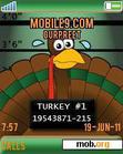 Download mobile theme Turkeys Hiding Out
