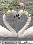 Download mobile theme Swan love _ anim