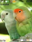 Download mobile theme LOVE BIRDS