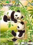 Скачать тему Pandas and bamboo