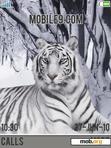 Download mobile theme Whigt Tiger