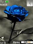 Download mobile theme Blue Rose