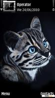 Download mobile theme Wild Grey Cat