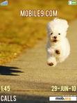 Download mobile theme puppies