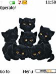 Download mobile theme black cats