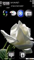 Download mobile theme White rose_by_Shawan