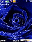 Download mobile theme Animated  Blue Rose