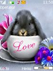 Download mobile theme Cute Love Rabbit