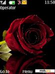 Download mobile theme Love Red Rose