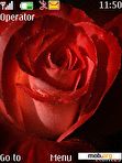 Download mobile theme Red Rose