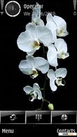 Download mobile theme white orchid