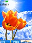 Download mobile theme Solar tulips