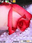 Download mobile theme Pink Rose